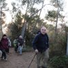 Caminada pel bosc laberíntic